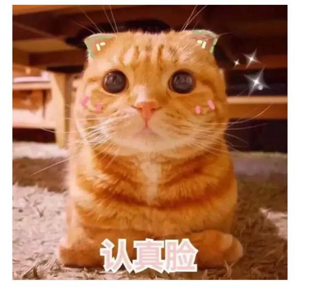 下周二大考VCE物理,看看这些必考大题你都会了吗?